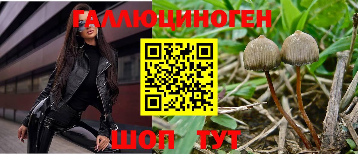 Галлюциногенные грибы Psilocybe  Вход с VPN  Скопин 