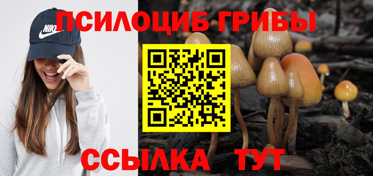 Галлюциногенные грибы Psilocybine cubensis Скопин